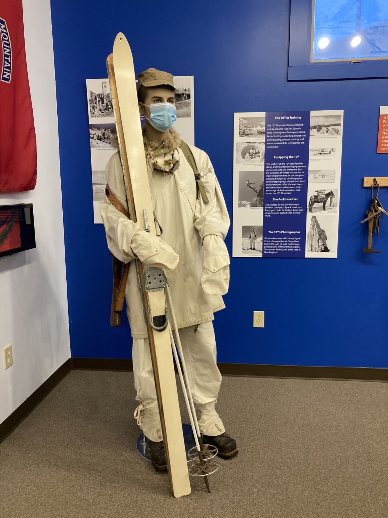 Skier